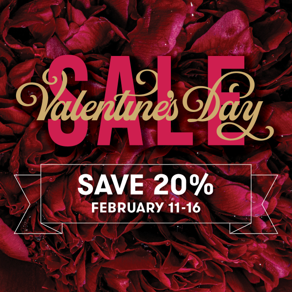 Valentine's Day Sale