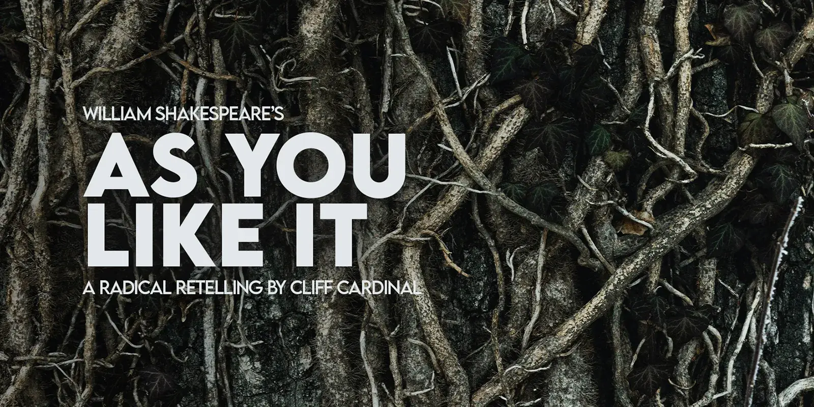 As You Like It show poster